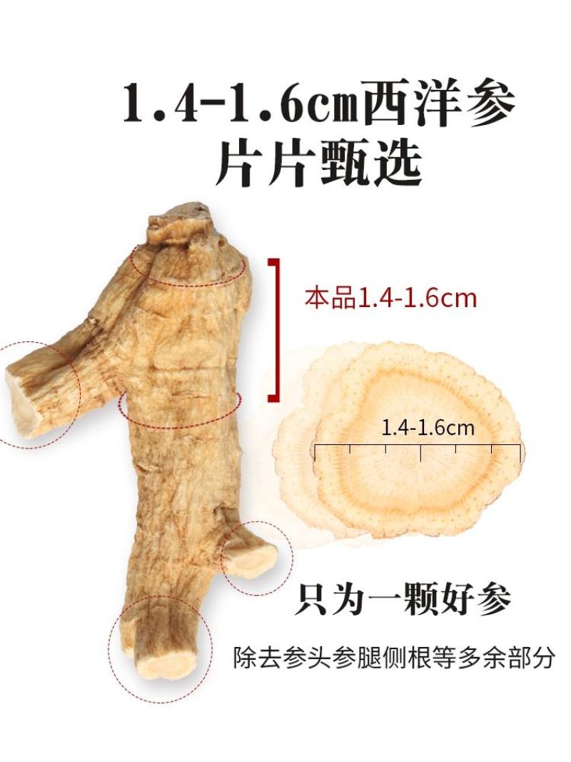 进口加拿大花旗参西洋参西洋参精选原丛参粉粒头切片煲汤