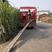 泸州甘蔗，水果甘蔗装车找车一条龙服务欢迎来电
