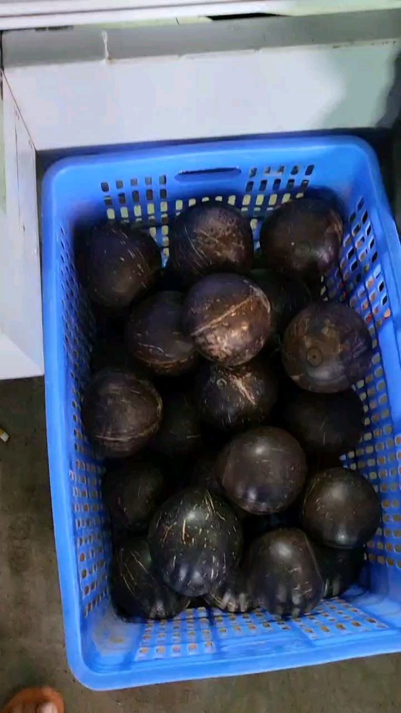 海南椰子厂家直销！一件代发！精品箱装椰皇
