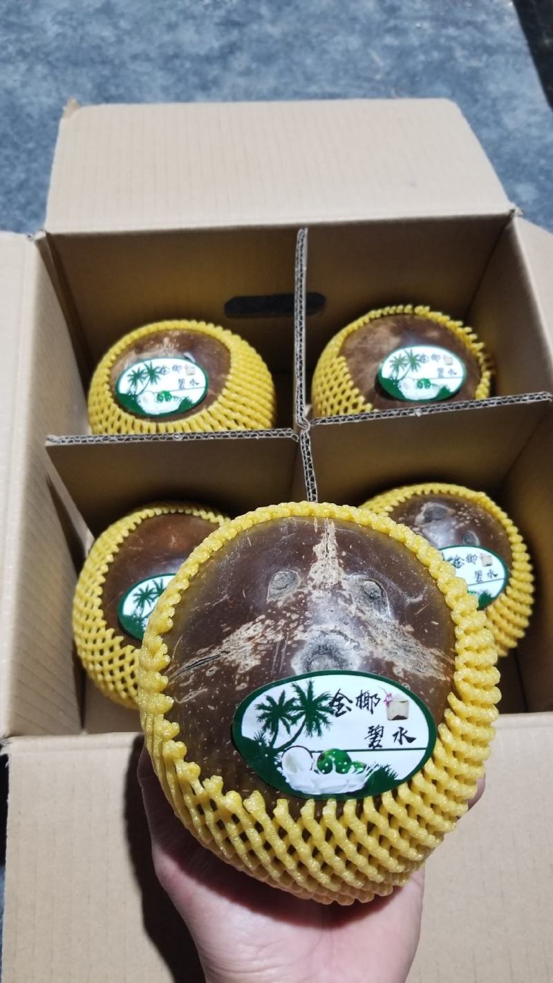 海南椰子厂家直销！一件代发！精品箱装椰皇