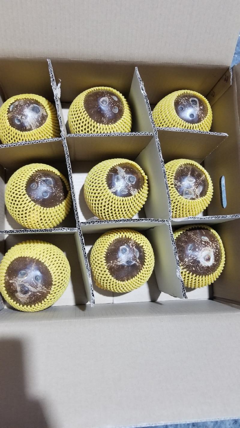 海南椰子厂家直销！一件代发！精品箱装椰皇