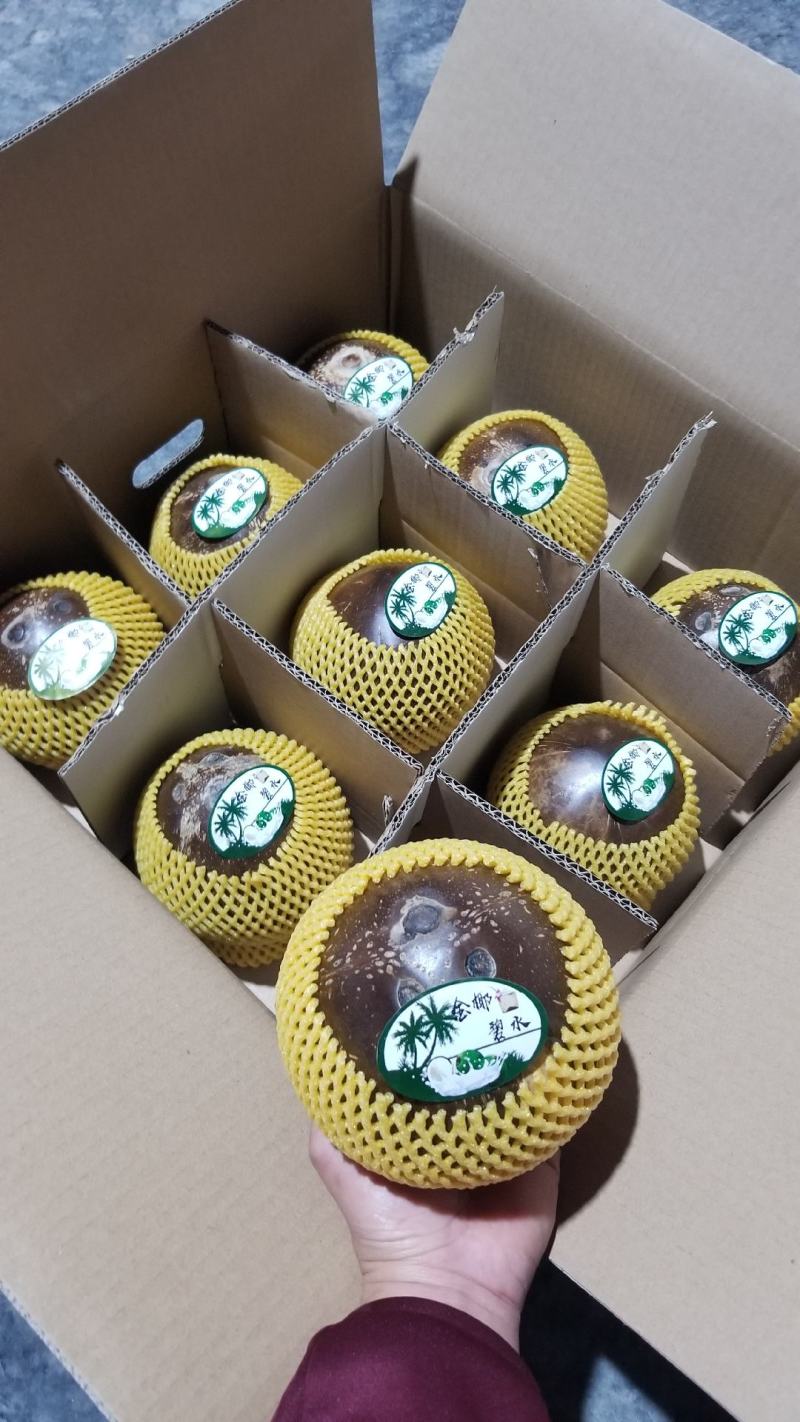 海南椰子厂家直销！一件代发！精品箱装椰皇