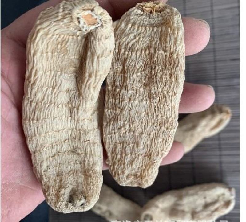 昭通天麻片正品天麻云南特级天麻片干货中药天麻片