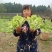 儿菜