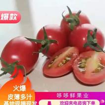 海南陵水千禧圣女果小番茄支持整车批发对接商超电商