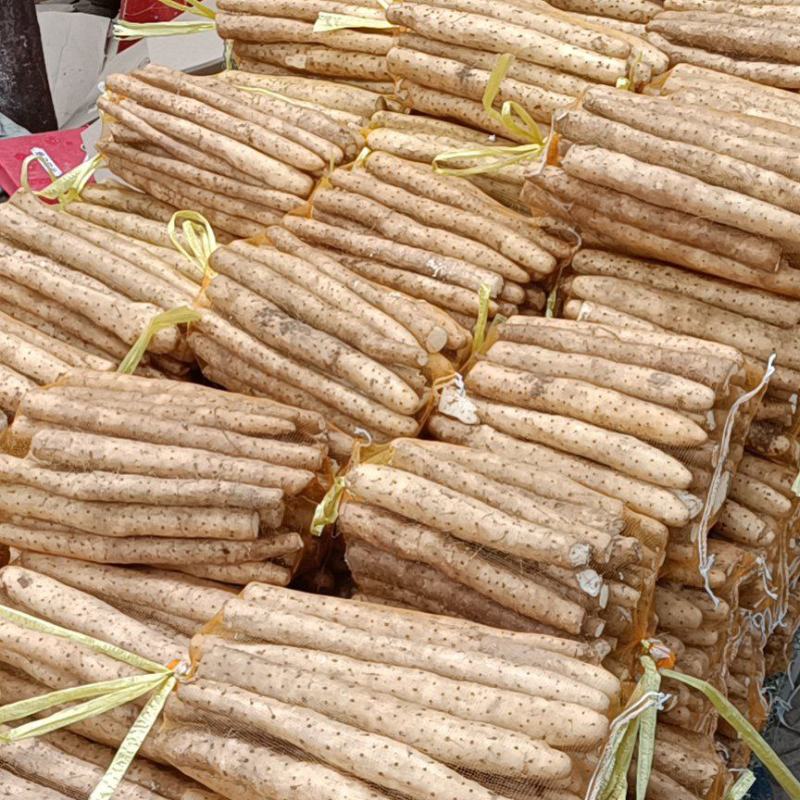 白山药小白嘴，精品网袋大量供应有需要的老板联系