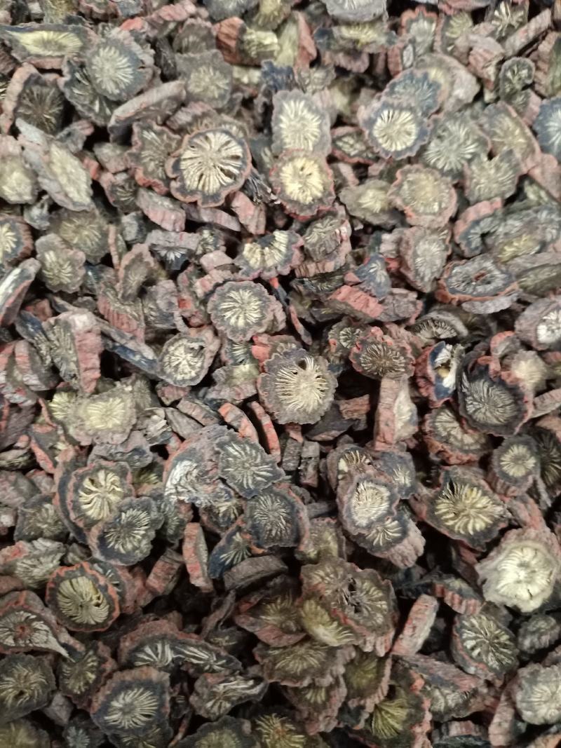 紫丹参，丹参发汗丹参，丹参片精品紫丹参片，道地药材