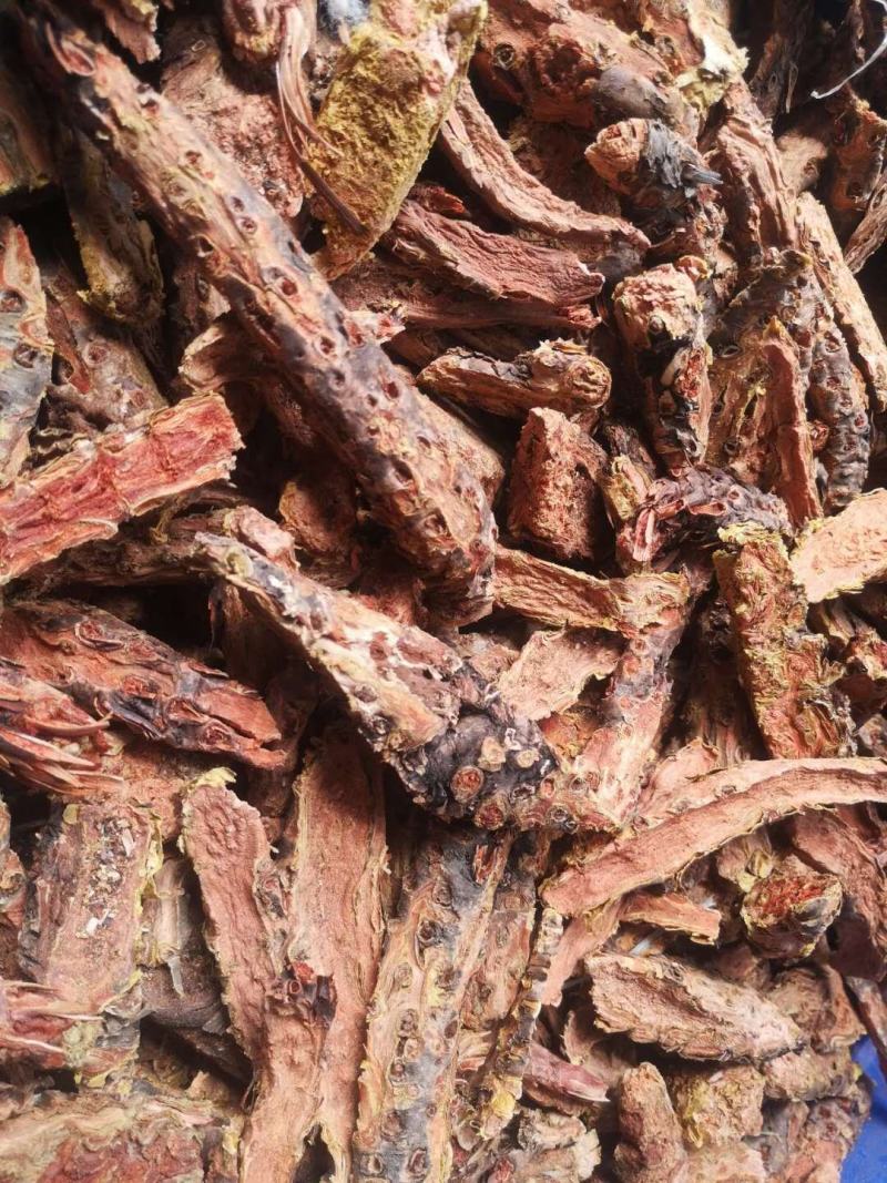 西藏特产野生高原大花红景天片泡茶中药药材抗高原反应