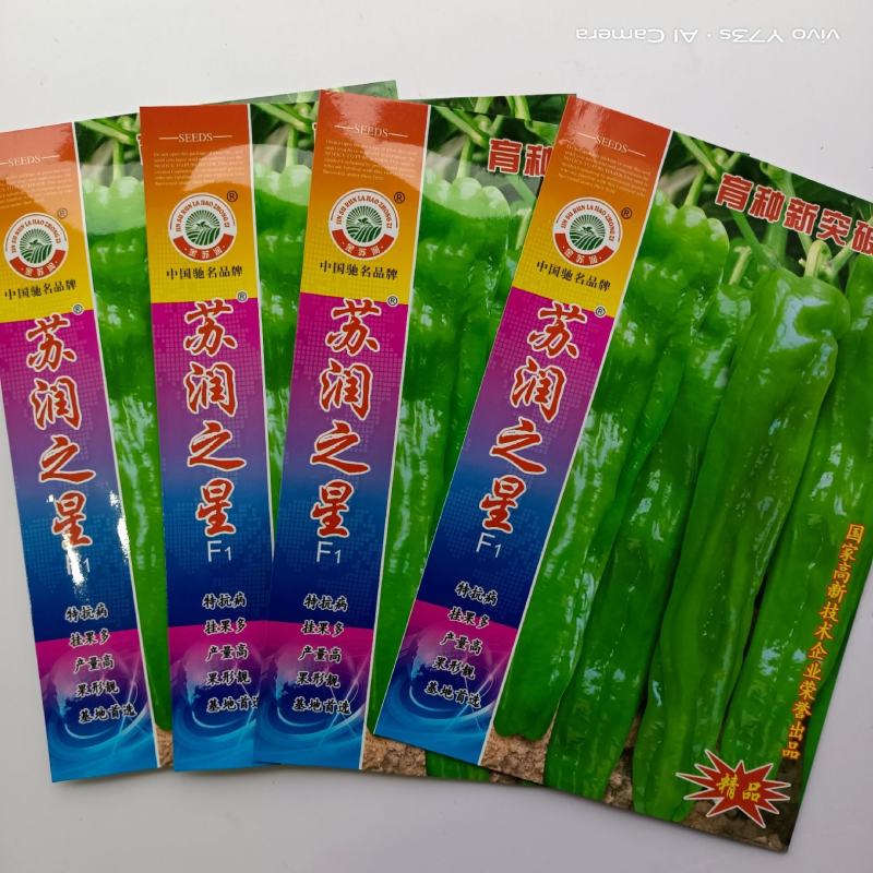 苏润之星大果薄皮泡椒种子果皮翠绿色皮薄顺直高产抗