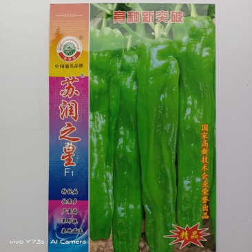 苏润之星大果薄皮泡椒种子果皮翠绿色皮薄顺直高产抗