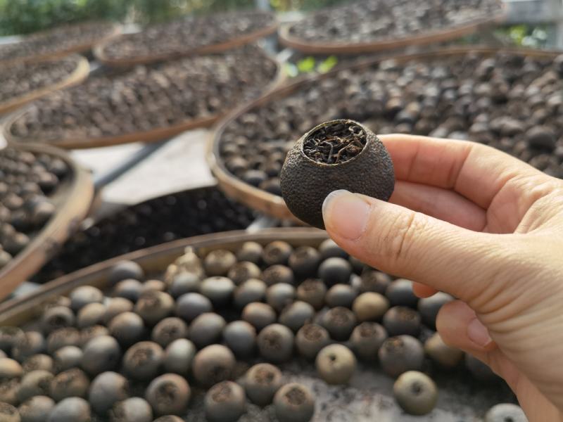 【一件代发】普洱茶（小青柑），正宗新会小青柑袋装口感纯正