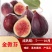 无花果苗波姬红苗盆栽矮化南方北方阳台庭院四季种植当年结