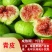 无花果苗波姬红苗盆栽矮化南方北方阳台庭院四季种植当年结