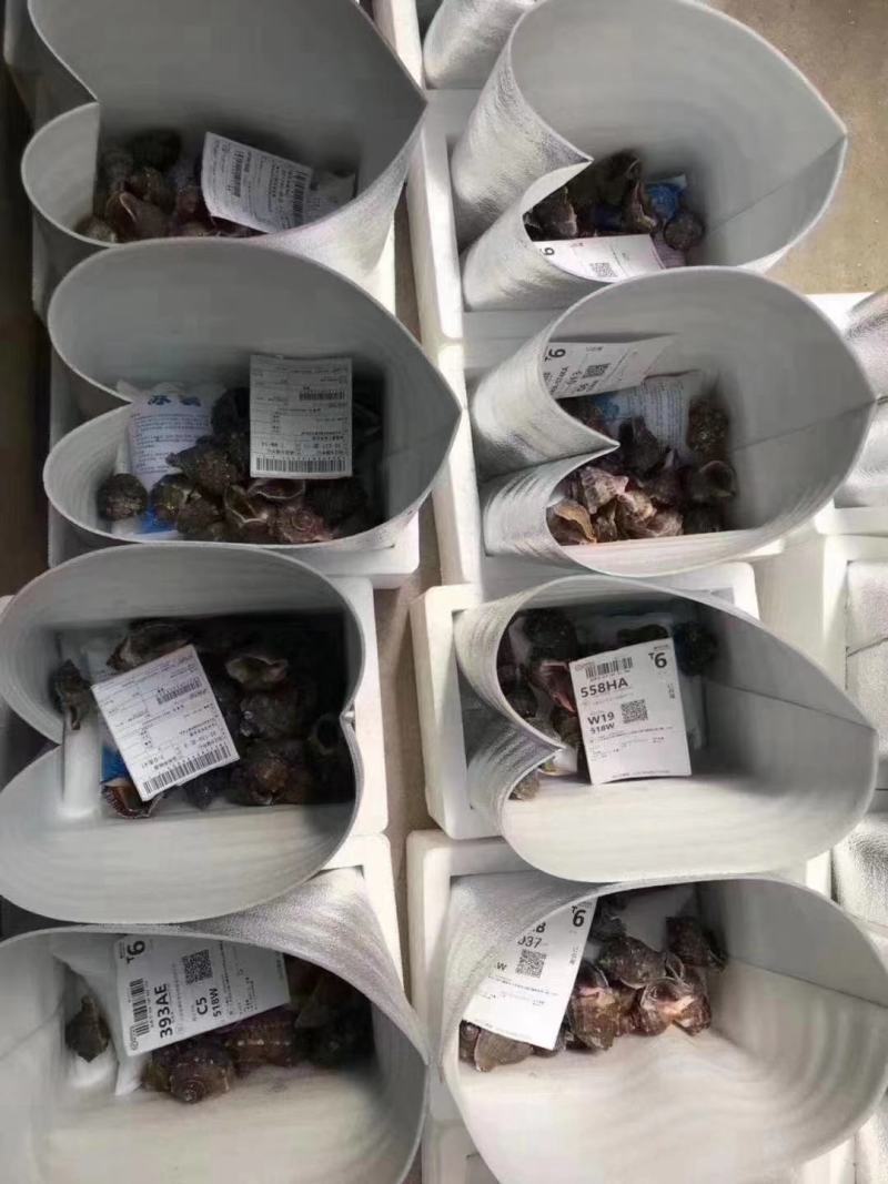 海螺江苏大海螺大量有货规格大小齐全可视频看货