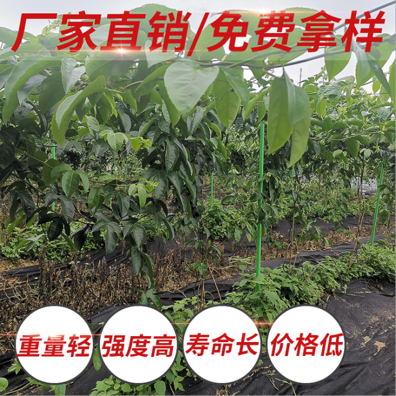 玻璃纤维管百香果八月瓜爪萎猕猴桃立柱豆角黄瓜架子支撑爬杆