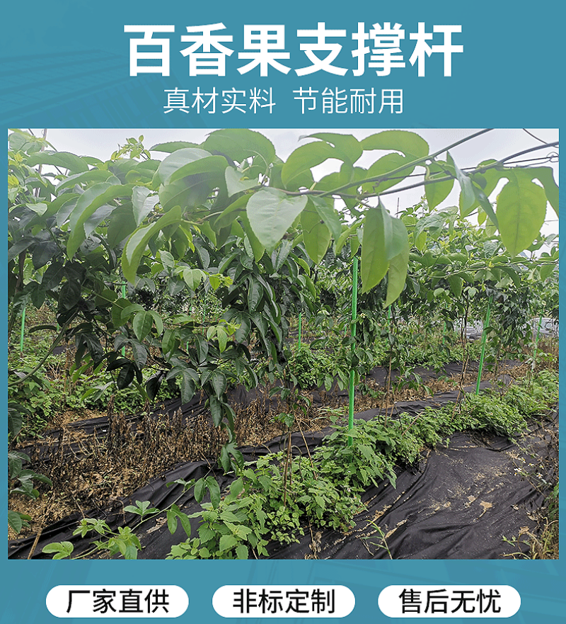 玻璃纤维管百香果八月瓜爪萎猕猴桃立柱豆角黄瓜架子支撑爬杆