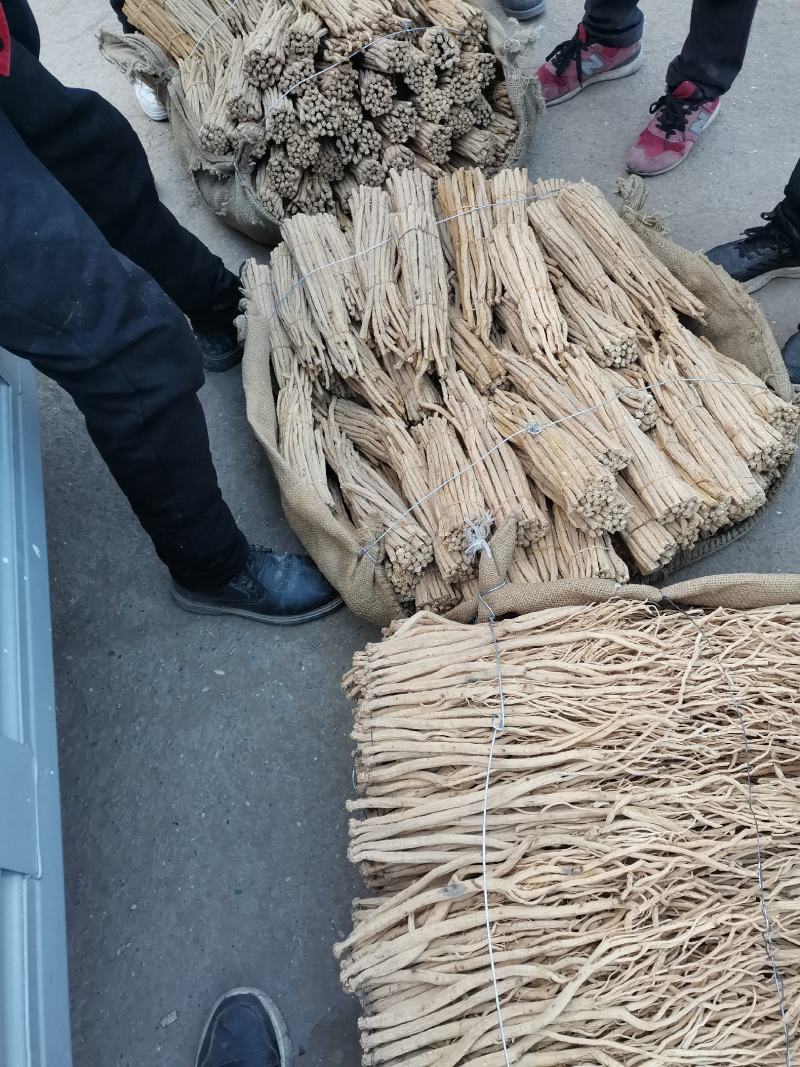 白条党参无硫规格齐全价格优现货直发欢迎咨询