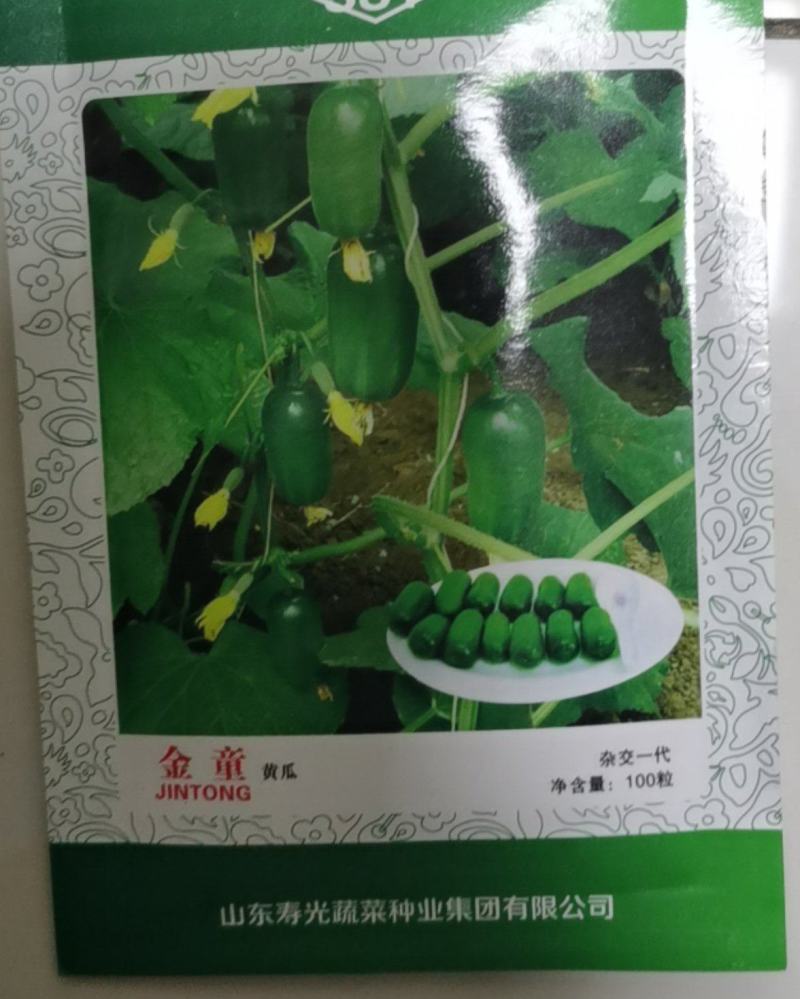 金童黄瓜种子qq黄瓜种子种籽四季盆栽种孑农家阳台盆栽夏季