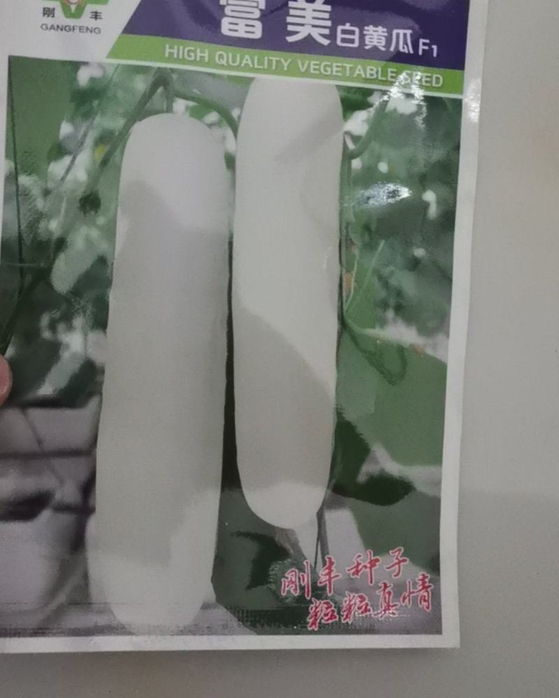 富美白黄瓜种子白水果黄瓜种籽大白黄瓜种籽早熟结果多