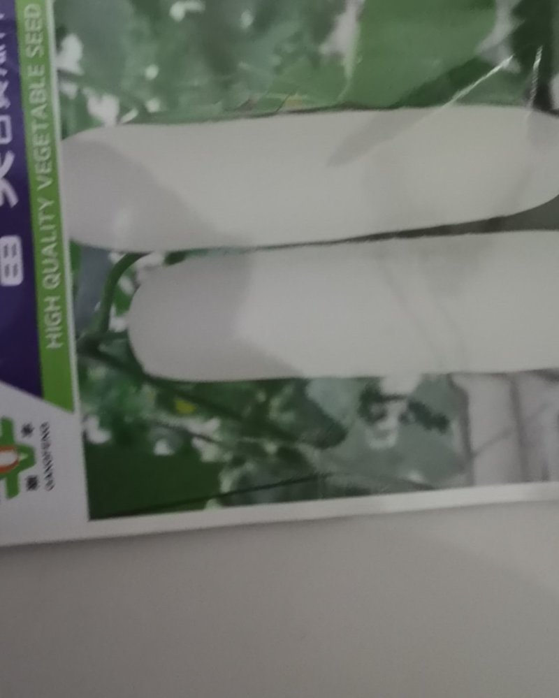 富美白黄瓜种子白水果黄瓜种籽大白黄瓜种籽早熟结果多