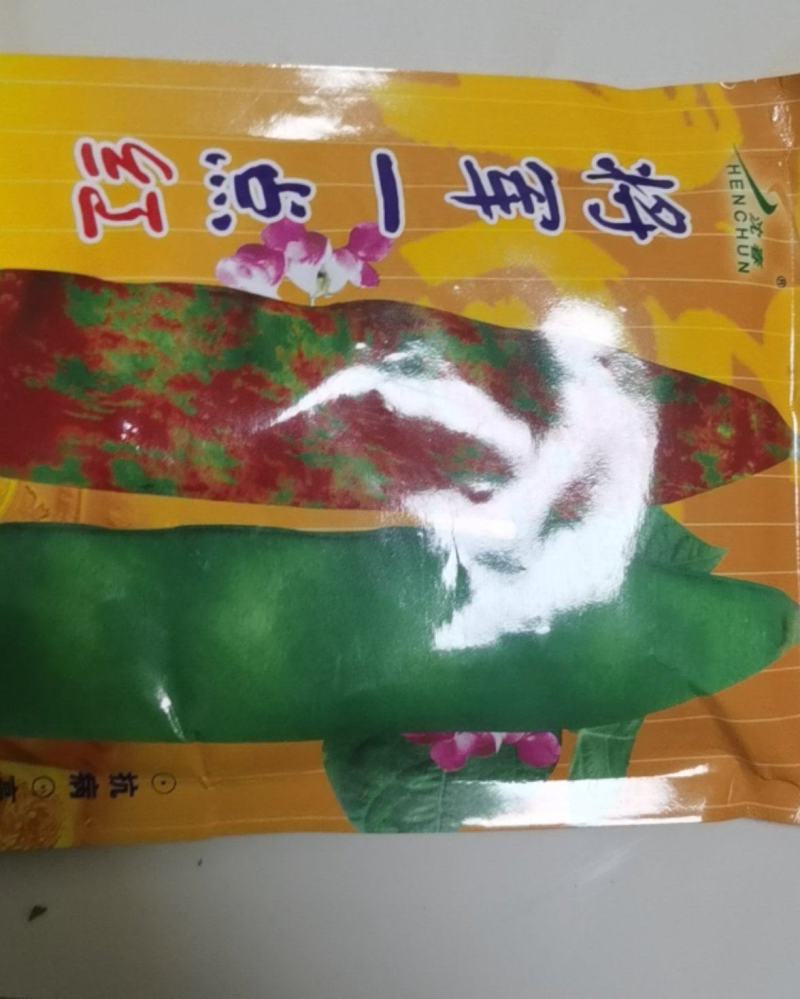 油豆种子架豆籽中早熟豆角无筋豆籽油豆角新鲜开锅烂面豆角