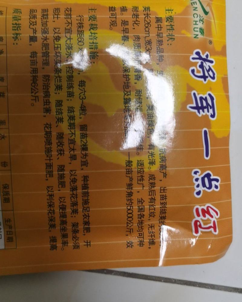 油豆种子架豆籽中早熟豆角无筋豆籽油豆角新鲜开锅烂面豆角