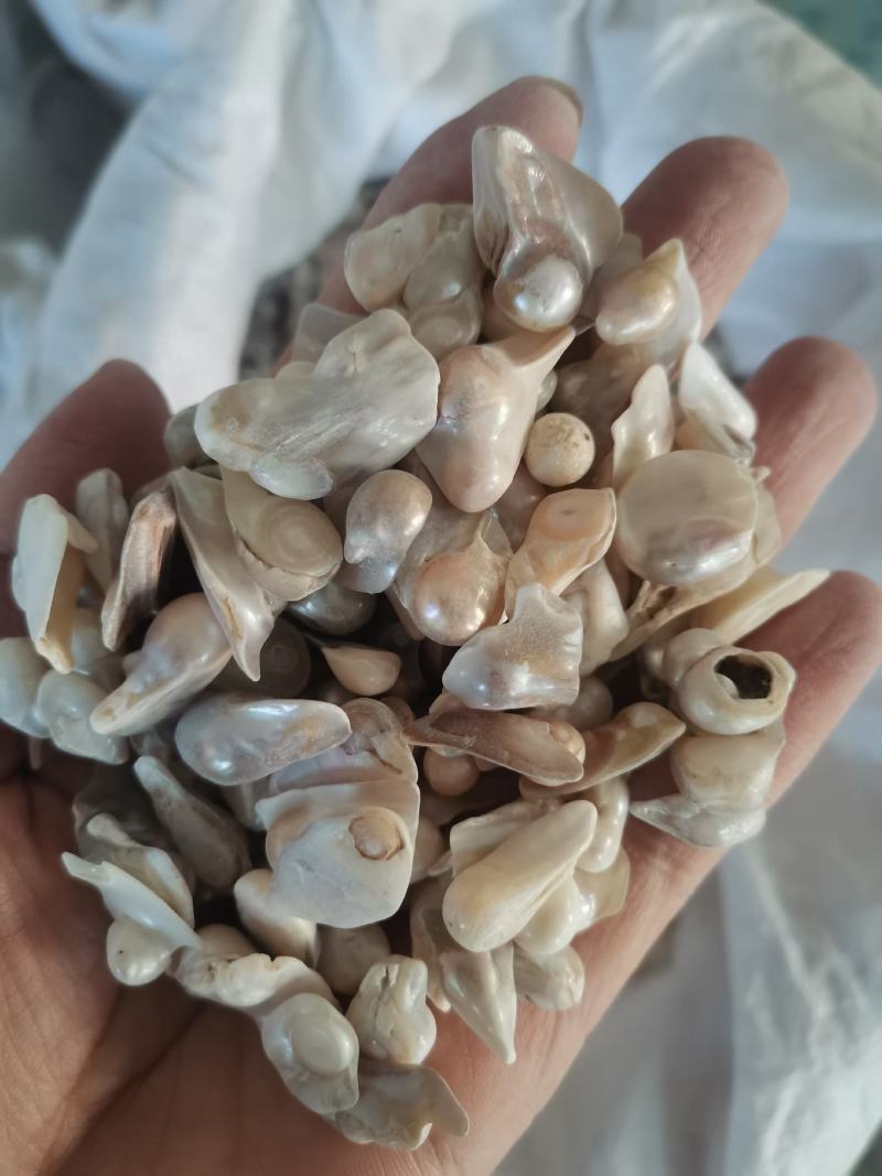 珍珠颗粒均匀色泽好规格齐全一公斤起包邮