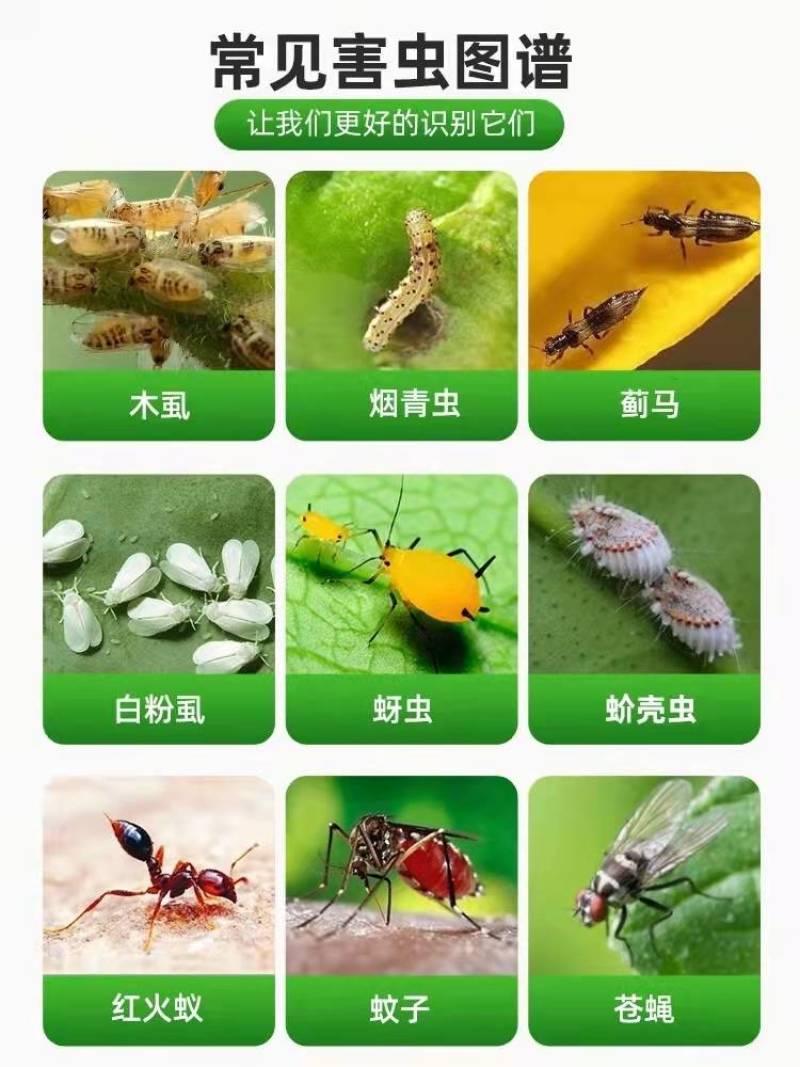 吡丙醚，高效杀卵，持效期长，果实蝇烟粉虱小菜叶蛾，苍蝇等