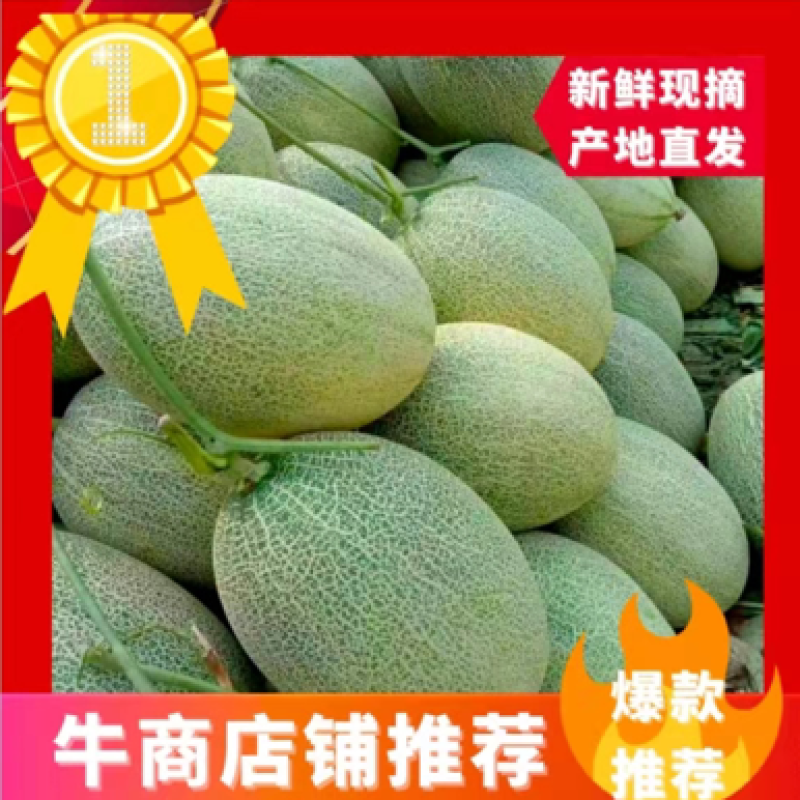 海南哈密瓜，小蜜25.大量上市，皮薄多汁，基地直供