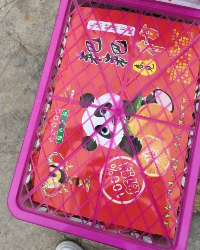 蒲江春见耙耙柑批发直发代发，二十四小时在线服务。