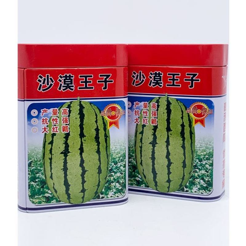 双红沙漠一号西瓜种子花皮椭圆西瓜抗病耐高温大红瓤10公斤