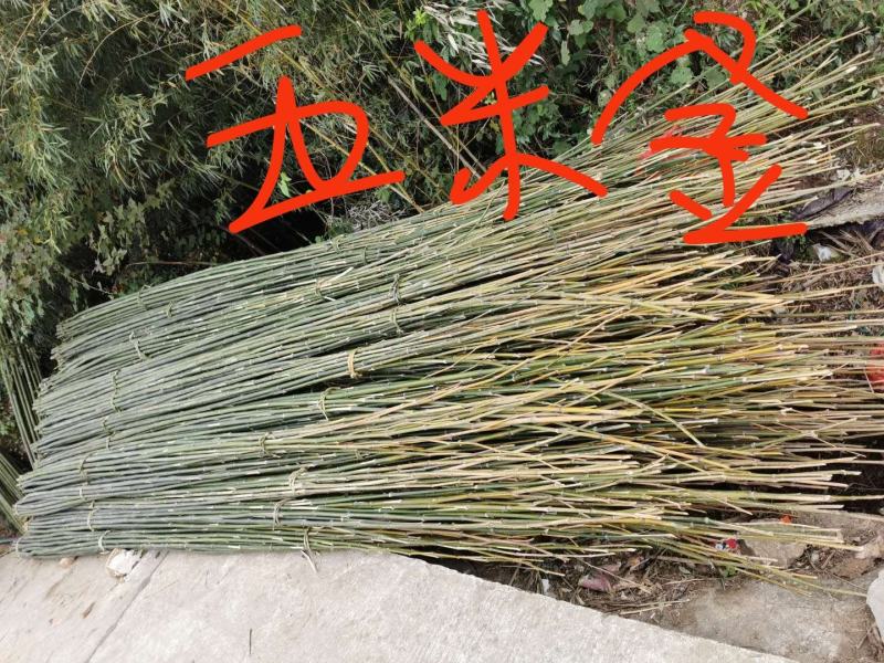 竹竿