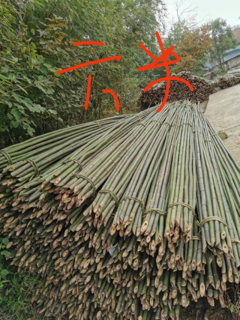 竹竿