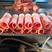 羔羊肉卷，一手货源，厂家直销，保证质量，价格不高。