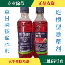 侨昌拼达草甘膦异丙铵盐灭生性果园荒地除草剂农药草甘磷