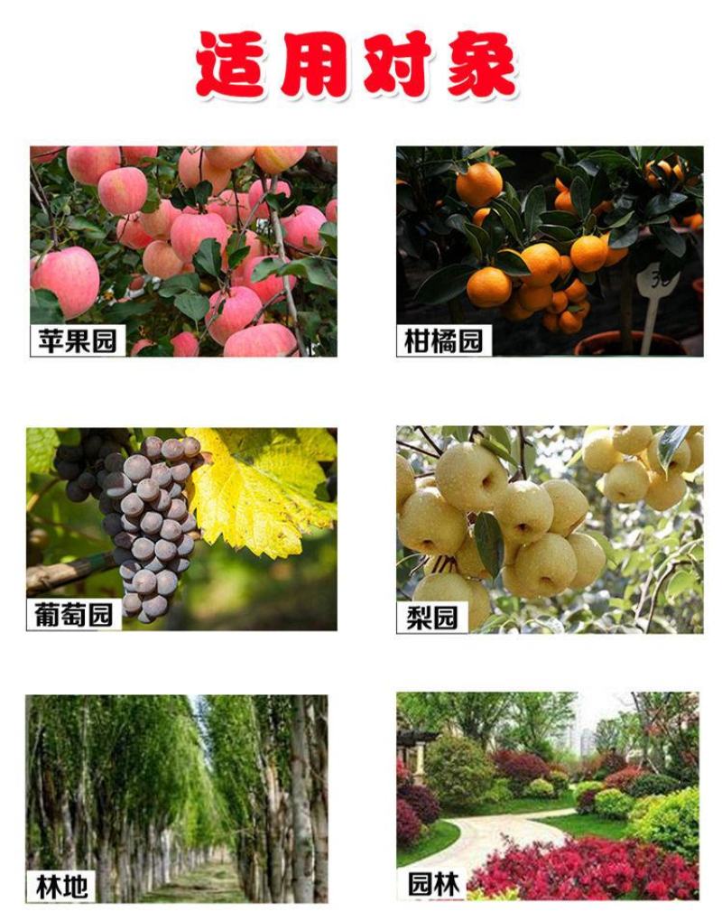 侨昌拼达草甘膦异丙铵盐灭生性果园荒地除草剂农药草甘磷