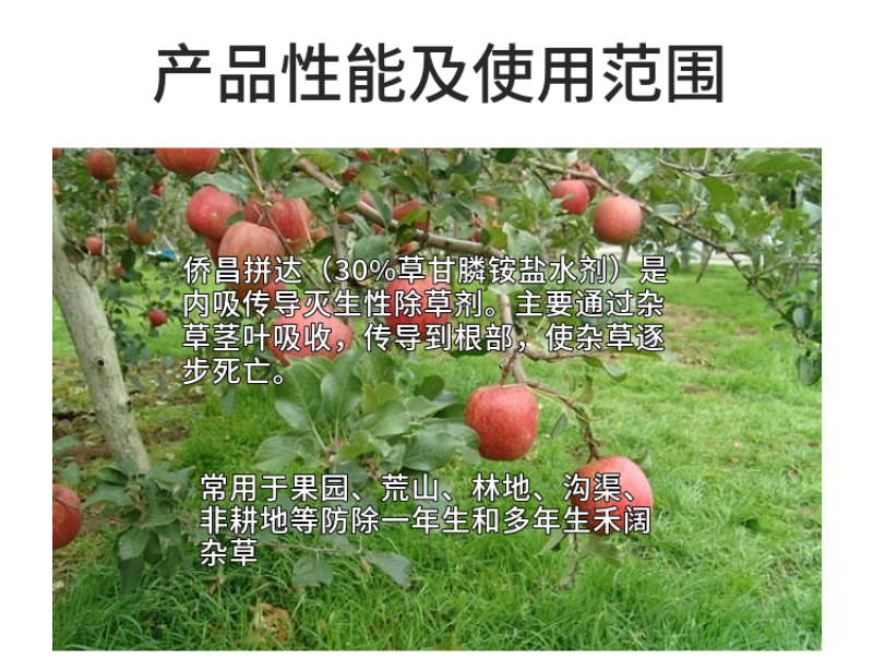 侨昌拼达草甘膦异丙铵盐灭生性果园荒地除草剂农药草甘磷