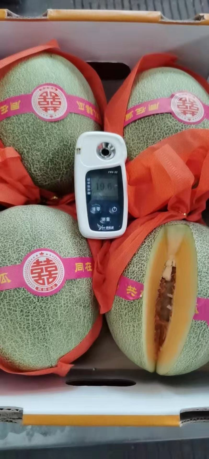 【精选】晓蜜25号哈密瓜对标商超一手货源欢迎来电