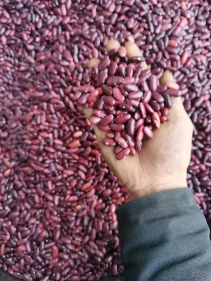 云南农家豆红腰豆白豆花豆红腰豆批发无霉豆无杂质容易熟