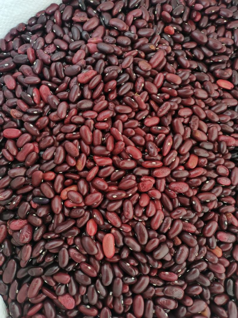 云南农家豆红腰豆白豆花豆红腰豆批发无霉豆无杂质容易熟