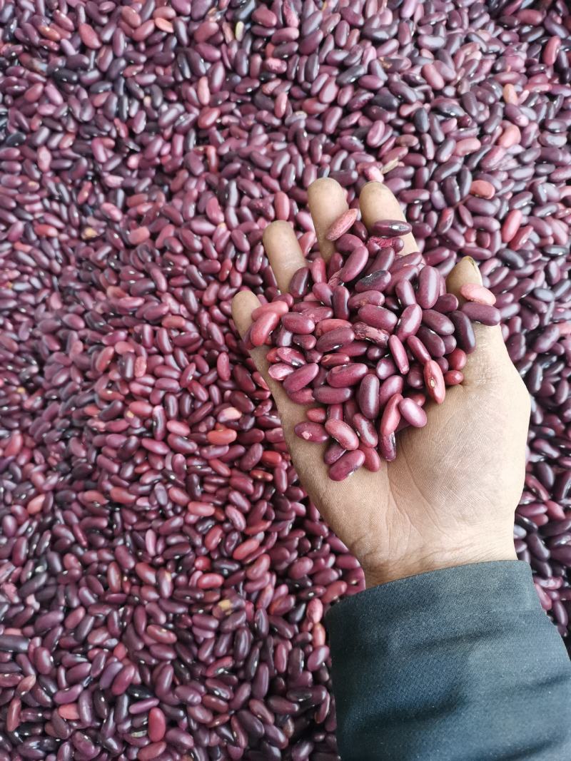 云南农家豆红腰豆白豆花豆红腰豆批发无霉豆无杂质容易熟