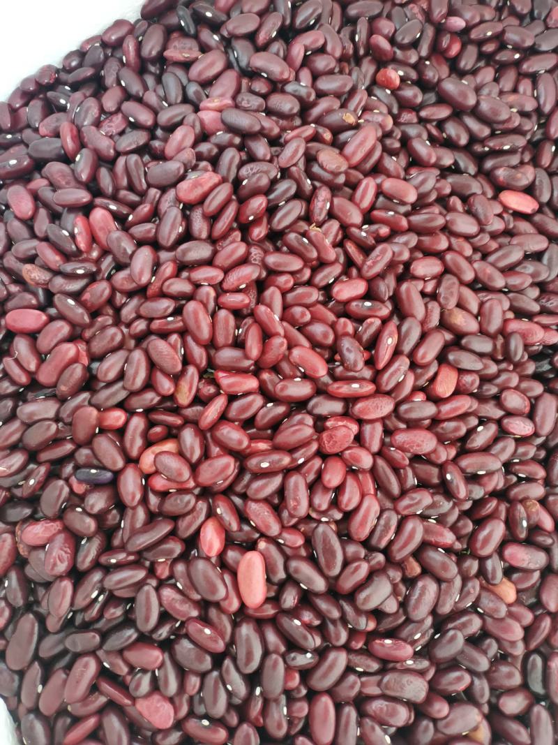 云南农家豆红腰豆白豆花豆红腰豆批发无霉豆无杂质容易熟