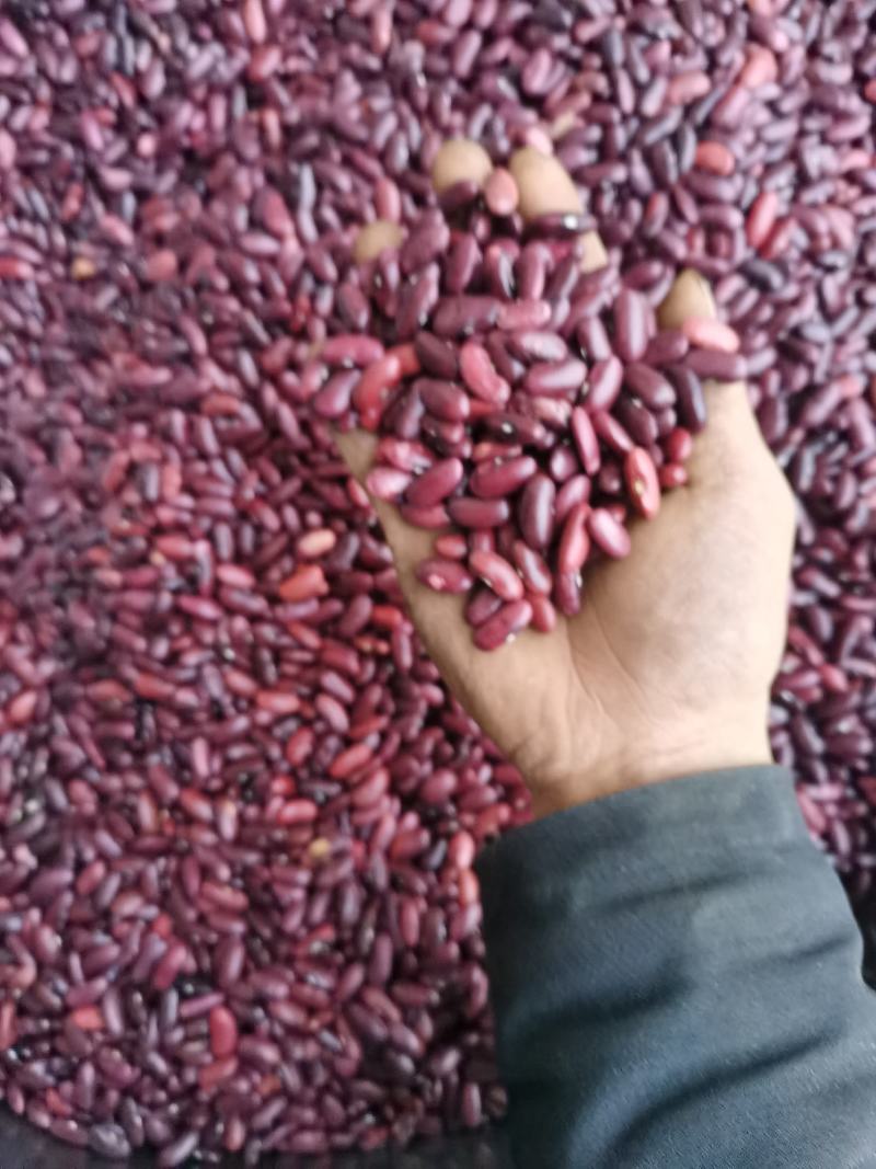 云南农家豆红腰豆白豆花豆红腰豆批发无霉豆无杂质容易熟