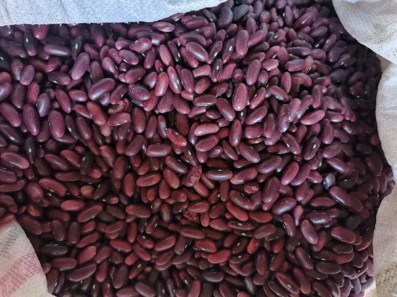 云南农家豆红腰豆白豆花豆红腰豆批发无霉豆无杂质容易熟