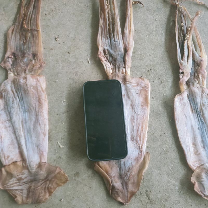 鱿鱼干，残片，小个头，鱿鱼花，鱿鱼头，价格不高，一手货源