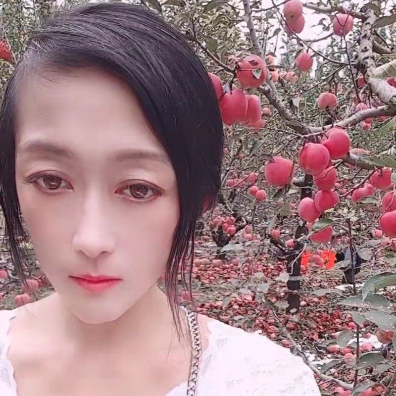 冷库红富士苹果大量开库出售条纹的偏红的都有也有条啦片