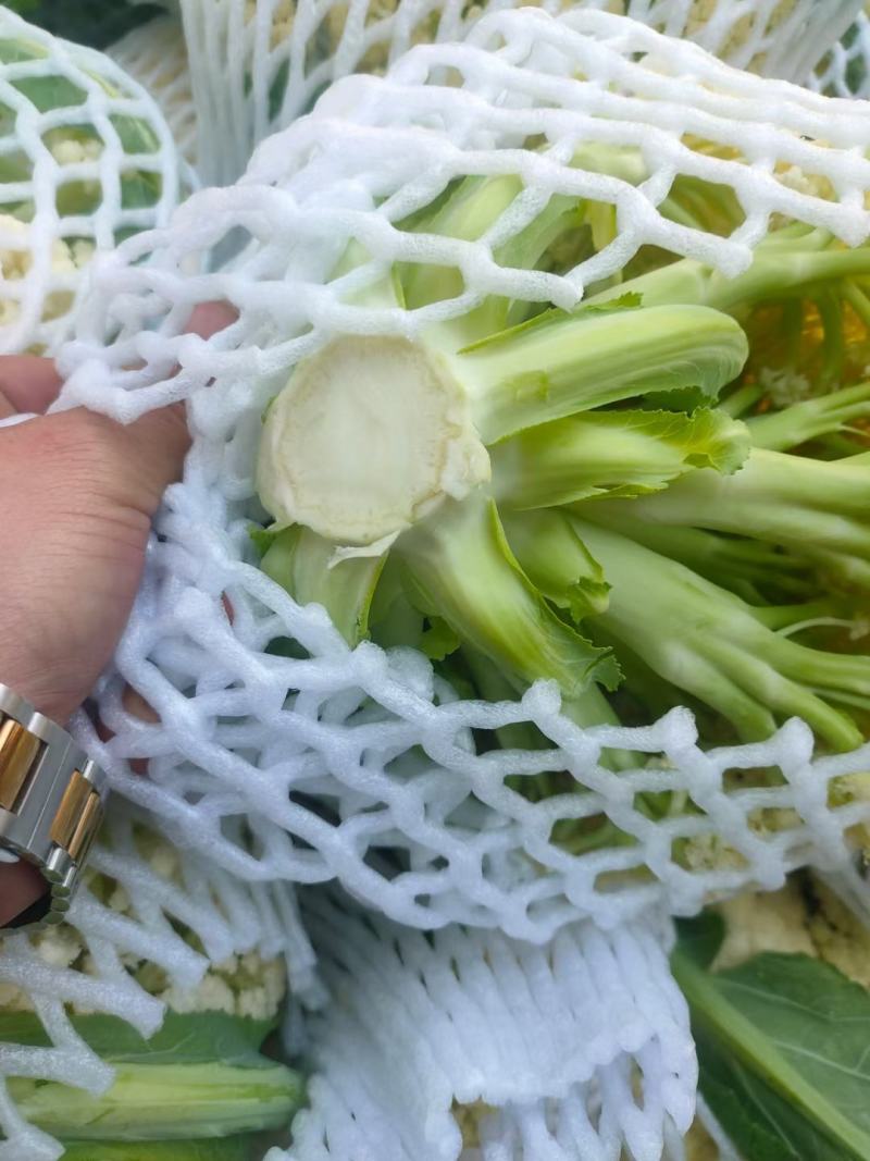 菜花有机花大量出售价格便宜，货源充足一手货源需要的联系