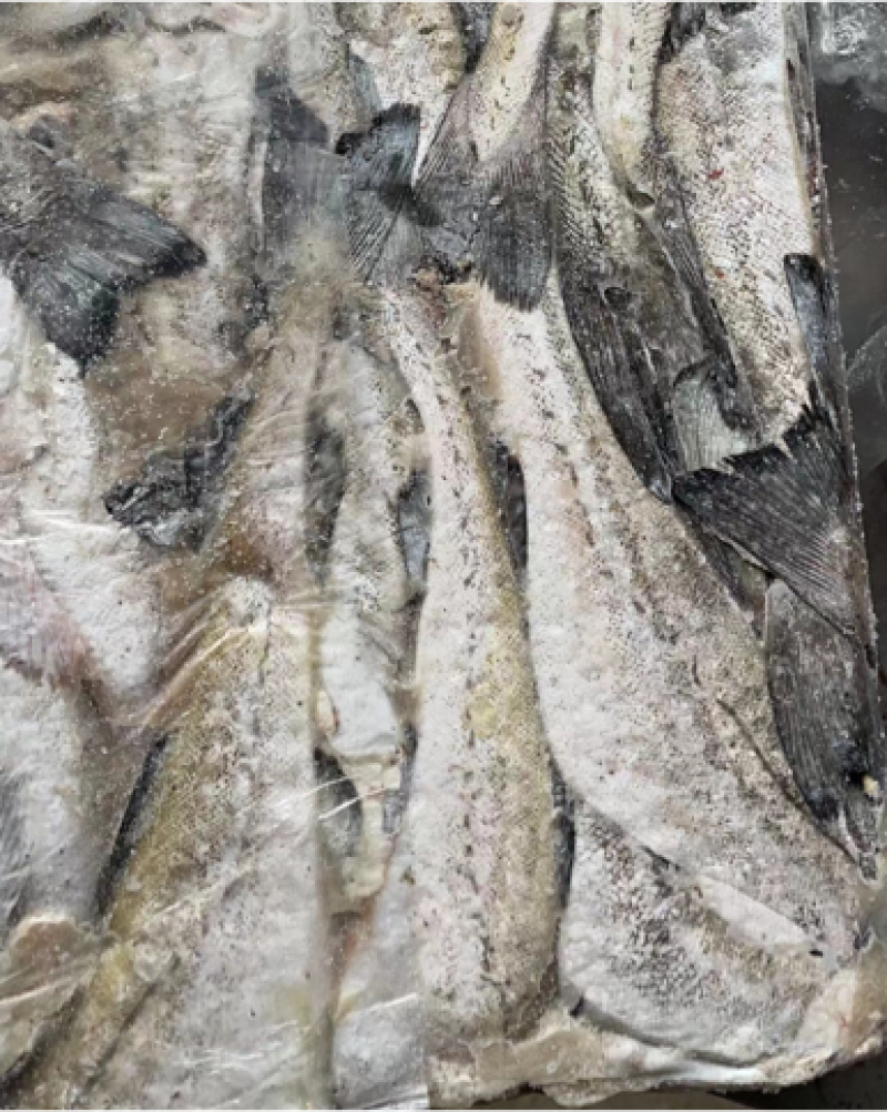 无冰衣去头鳕鱼无头鱼明太鱼肉嫩无碎刺宝宝辅食无碎刺