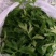 销售马家沟芹菜