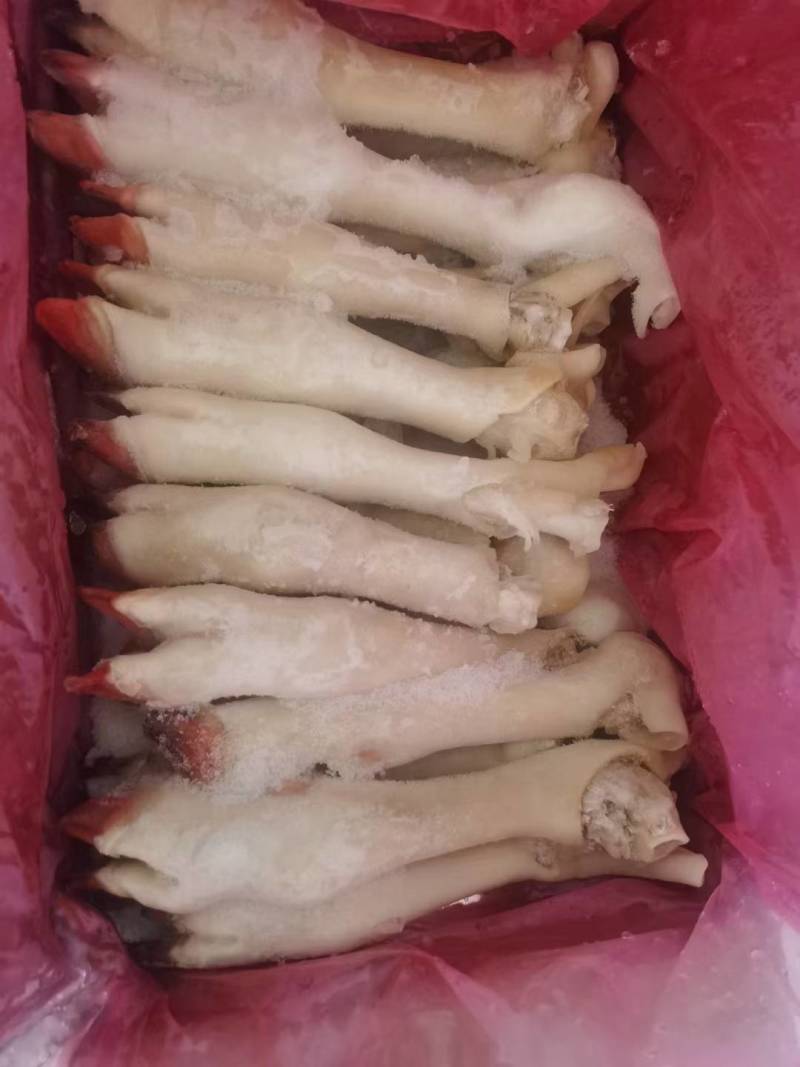 育肥羊蹄